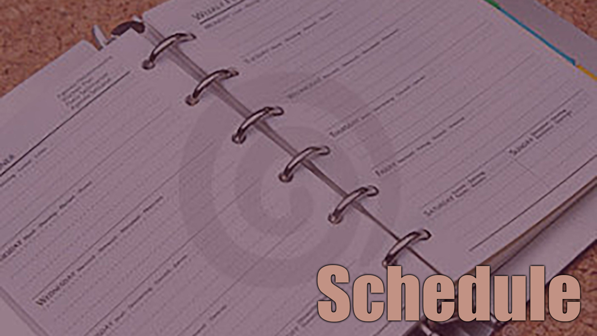 schedule-book_tint
